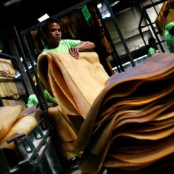 02.09.16 г. Шинных производителей перестало устраивать качество таиландского каучука...