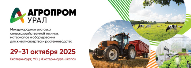 WhatsApp Image 2025-10-10 at 19.18.21.jpeg